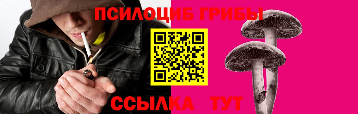 где можно купить наркотик  Вход с VPN  Нововоронеж  Галлюциногенные грибы Cubensis 